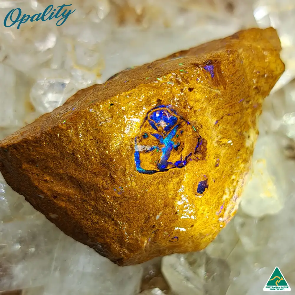 Australian Wood Replacement Opal Rough 15g - One of a Kind Rare Vibrant Specimen