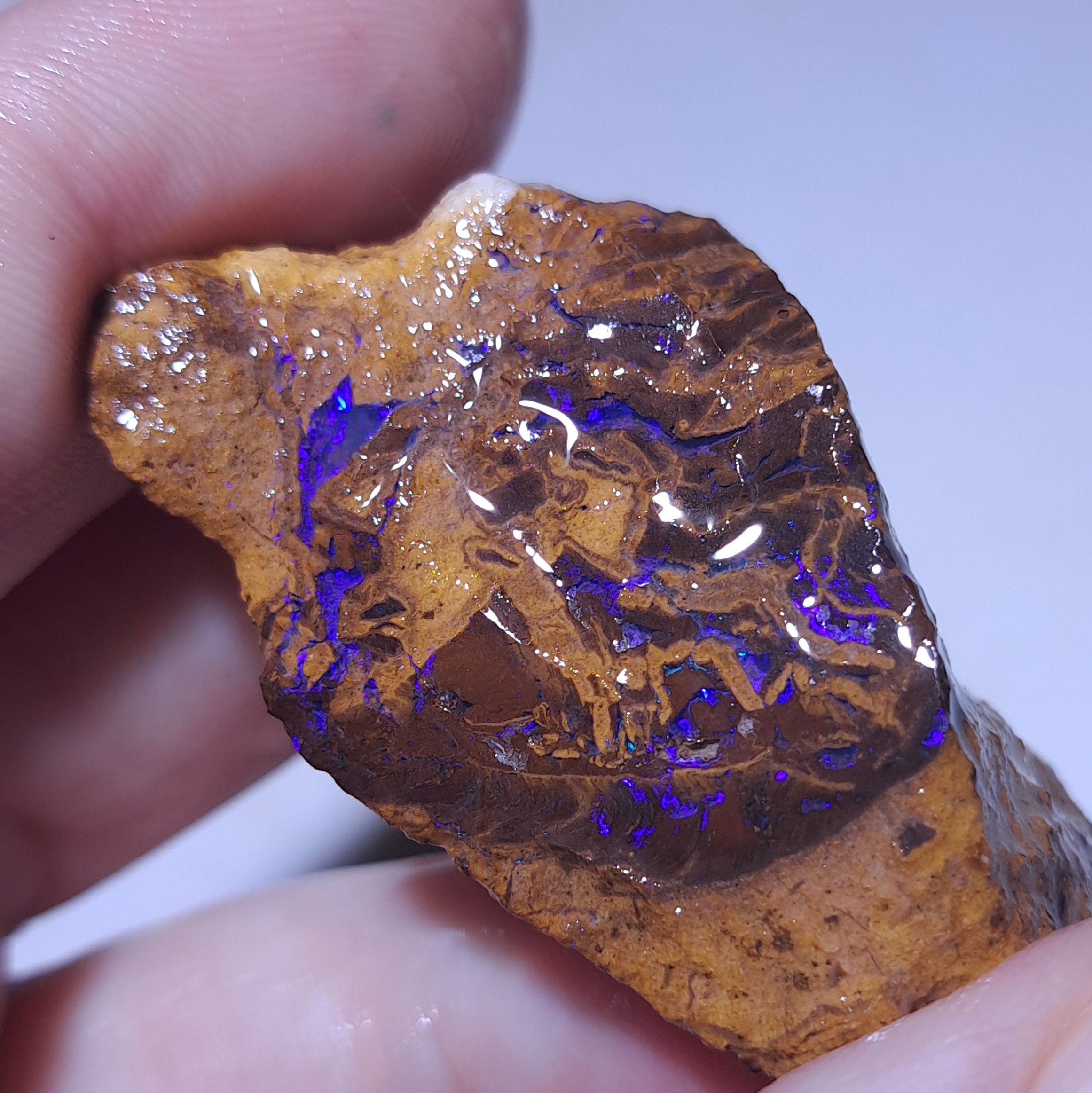 Qld Boulder Opal parcel Queensland 350g - Image 3